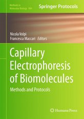 Capillary Electrophoresis of Biomolecules