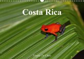 Costa Rica (Wandkalender 2021 DIN A3 quer)