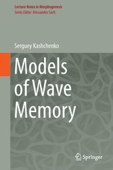 Models of Wave Memory