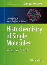 Histochemistry of Single Molecules