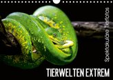 Tierwelten Extrem - Spektakuläre Tierfotos (Wandkalender 2020 DIN A4 quer)