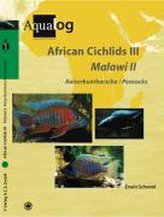 African Cichlids 03. Malawi II: Kaiserbuntbarsche / Peacocks