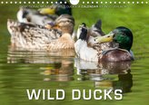 Emotional Moments: Wild Ducks. / UK-Version (Wall Calendar 2021 DIN A4 Landscape)