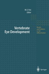 Vertebrate Eye Development