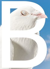B-SIDES