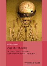 Quasi liber et pictura