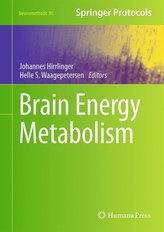Brain Energy Metabolism