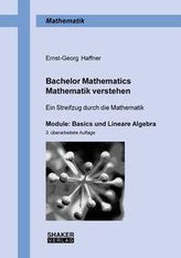 Bachelor Mathematics . Mathematik verstehen