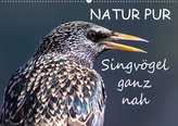 NATUR PUR - Singvögel ganz nah (Wandkalender 2021 DIN A2 quer)