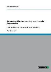 E-Learning, Blended Learning und virtuelle Exkursionen