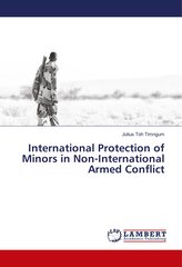International Protection of Minors in Non-International Armed Conflict