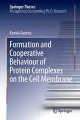 Formation and Cooperative Behaviour of Protein Complexes on the Cell Membrane