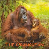 The Orangutan