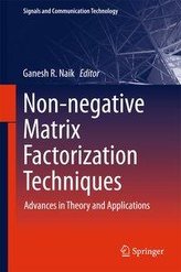 Non-negative Matrix Factorization Techniques