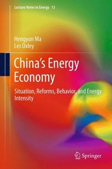 China\'s Energy Economy