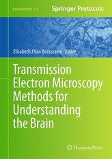 Transmission Electron Microscopy Methods for Understanding the Brain