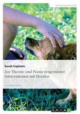 Zur Theorie und Praxis tiergestützter Interventionen mit Hunden