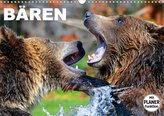 Bären (Wandkalender 2021 DIN A3 quer)