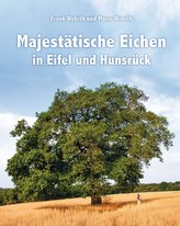 Majestätische Eichen in Eifel und Hunsrück