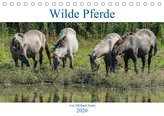 Wilde Pferde von Michael Jaster (Tischkalender 2020 DIN A5 quer)