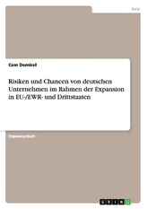 Risiken und Chancen von deutschen Unternehmen im Rahmen der Expansion in EU-/EWR- und Drittstaaten