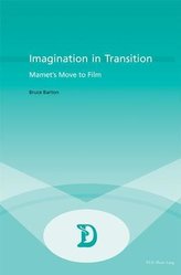 Imagination in Transition