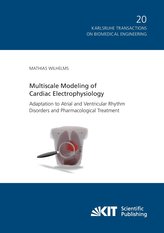 Multiscale Modeling of Cardiac Electrophysiology: Adaptation to Atrial and Ventricular Rhythm Disorders and Pharmacological Trea