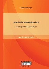 Kriminelle Internetkarriere: Alles beginnt mit § 202c StGB?