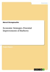 Economic Strategies. Potential Improvements of Burberry
