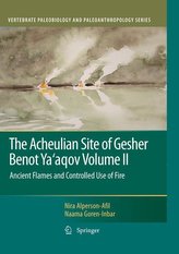 The Acheulian Site of Gesher Benot Ya\'agov Volume II