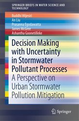 Decision Making with Uncertainty in Stormwater Pollutant Processes