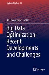 Big Data Optimization: Recent Developments and Challenges
