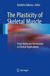 The Plasticity of Skeletal Muscle