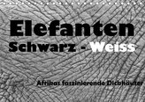 Elefanten Schwarz - Weiss (Tischkalender 2021 DIN A5 quer)