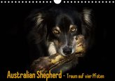 Australian Shepherd - Traum auf vier Pfoten (Wandkalender 2021 DIN A4 quer)