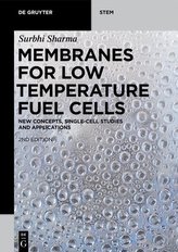 Membranes for Low Temperature Fuel Cells