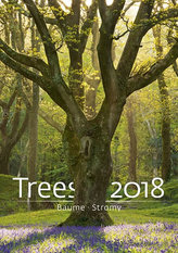 Kalendář nástěnný 2018 - Stromy