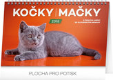 Kalendář stolní 2018 - Kočky – Mačky CZ/SK, 23,1 x 14,5 cm