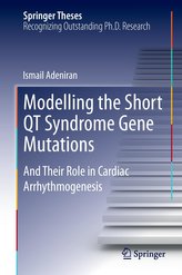 Modelling the Short QT Syndrome Gene Mutations