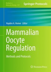 Mammalian Oocyte Regulation