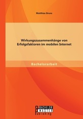 Wirkungszusammenhänge von Erfolgsfaktoren im mobilen Internet