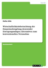 Wirtschaftlichkeitsbetrachtung der Einspeiseabregelung dezentraler Erzeugungsanlagen. Alternativen zum konventionellen Netzausba