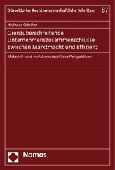 Grenzüberschreitende Unternehmenszusammenschlüsse zwischen Marktmacht und Effizienz