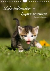Katzenkinder - Impressionen (Wandkalender 2021 DIN A4 hoch)