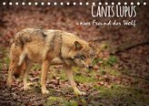 Canis Lupus - unser Freund der Wolf (Tischkalender 2021 DIN A5 quer)