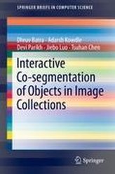 Interactive Co-segmentation of Objects in Image Collections