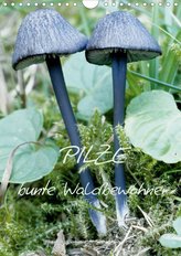 Pilze (Wandkalender 2021 DIN A4 hoch)