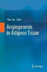 Angiogenesis in Adipose Tissue