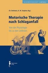 Motorische Therapie nach Schlaganfall