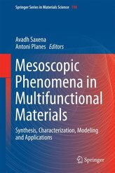 Mesoscopic Phenomena in Multifunctional Materials